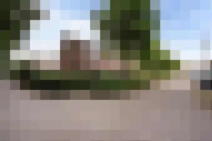 Violenweg 20 Zwolle thumbnail 29