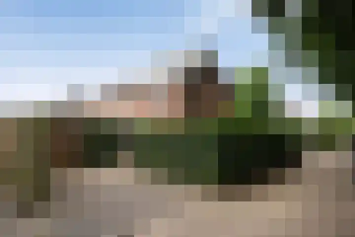 Violenweg 20 Zwolle thumbnail 30