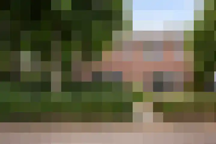 Violenweg 20 Zwolle thumbnail 4