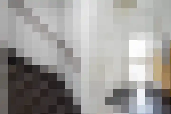 Violenweg 20 Zwolle thumbnail 5