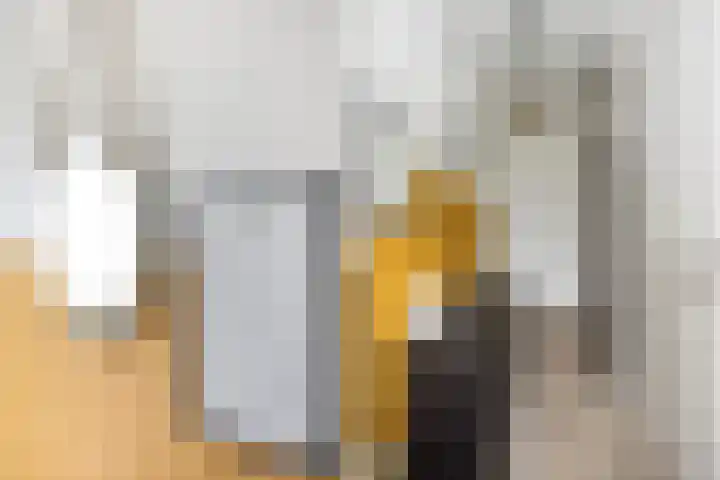 Violenweg 20 Zwolle thumbnail 6