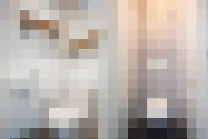 Violenweg 20 Zwolle thumbnail 7