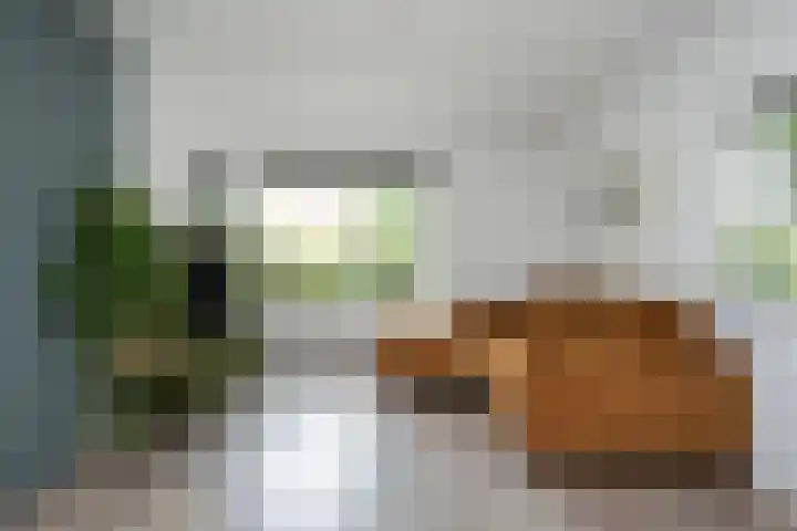 Violenweg 20 Zwolle thumbnail 8