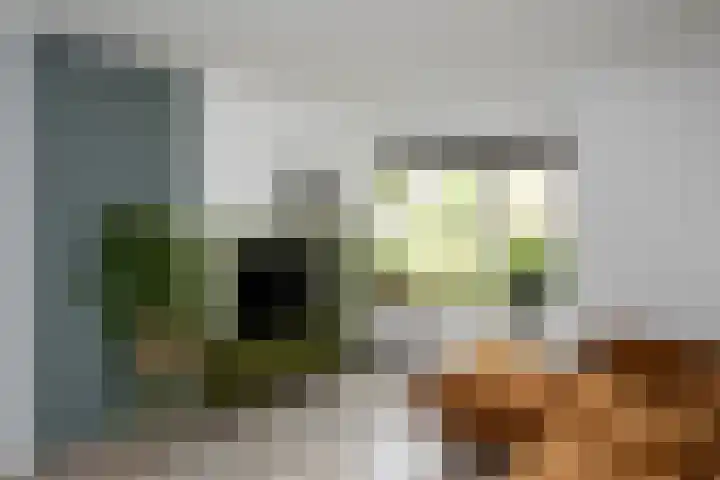 Violenweg 20 Zwolle thumbnail 9