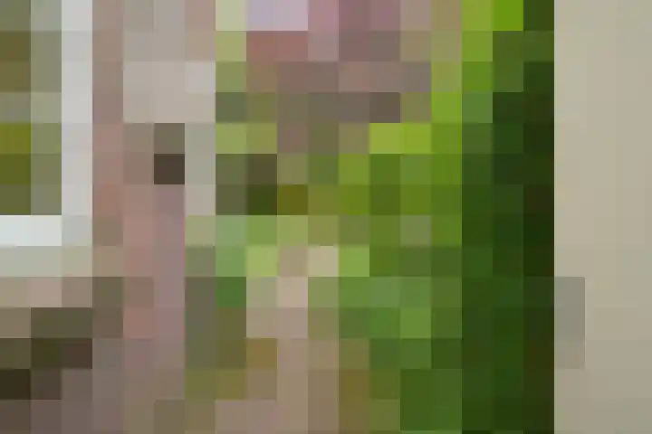 Violenweg 4 A Den Haag thumbnail 21