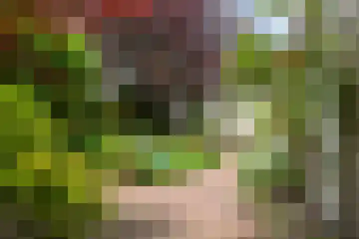 Violenweg 4 A Den Haag thumbnail 22