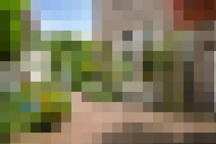 Violenweg 4 A Den Haag thumbnail 23