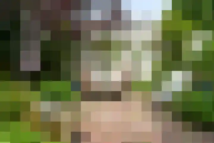 Violenweg 4 A Den Haag thumbnail 24