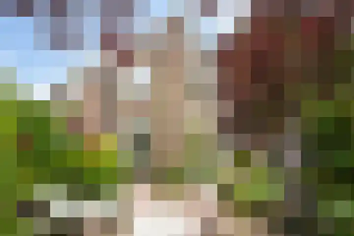 Violenweg 4 A Den Haag thumbnail 25