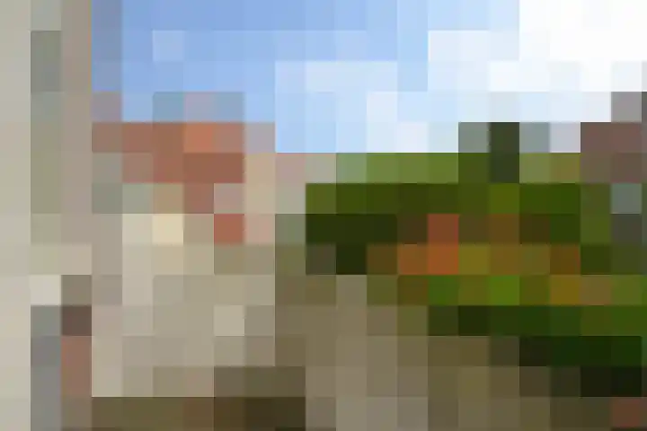 Violenweg 4 A Den Haag thumbnail 37