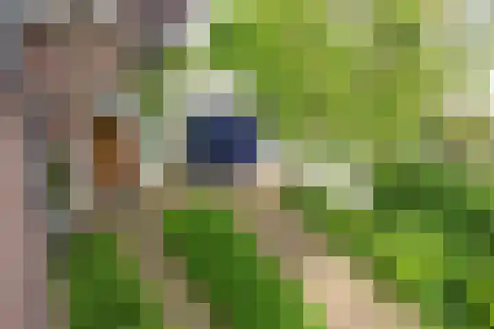 Violenweg 4 A Den Haag thumbnail 38