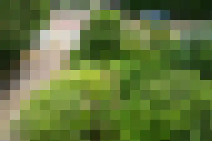 Violenweg 4 A Den Haag thumbnail 39