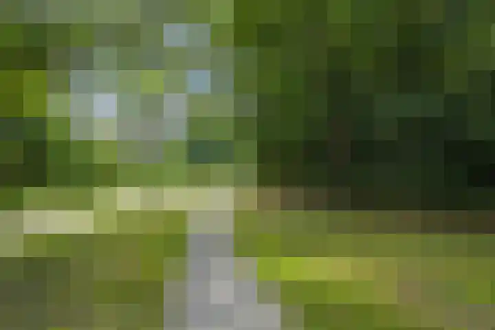 Violenweg 4 A Den Haag thumbnail 49