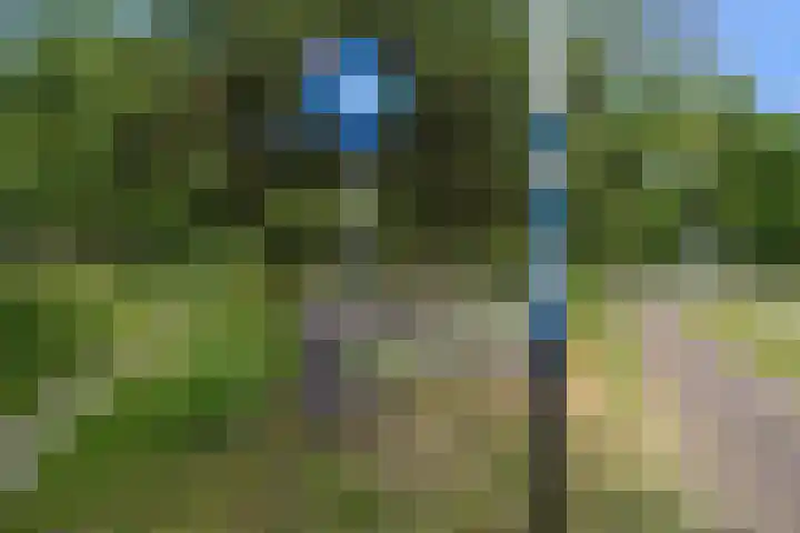 Violenweg 4 A Den Haag thumbnail 51