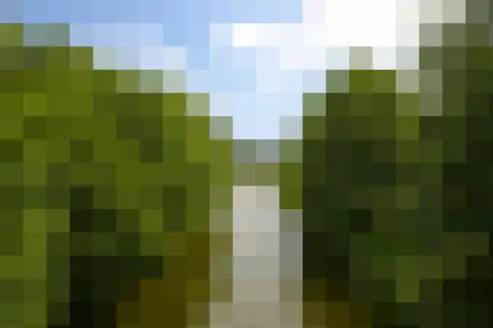 Violenweg 4 A Den Haag thumbnail 52