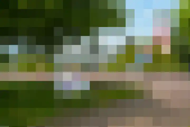 Violenweg 4 A Den Haag thumbnail 53
