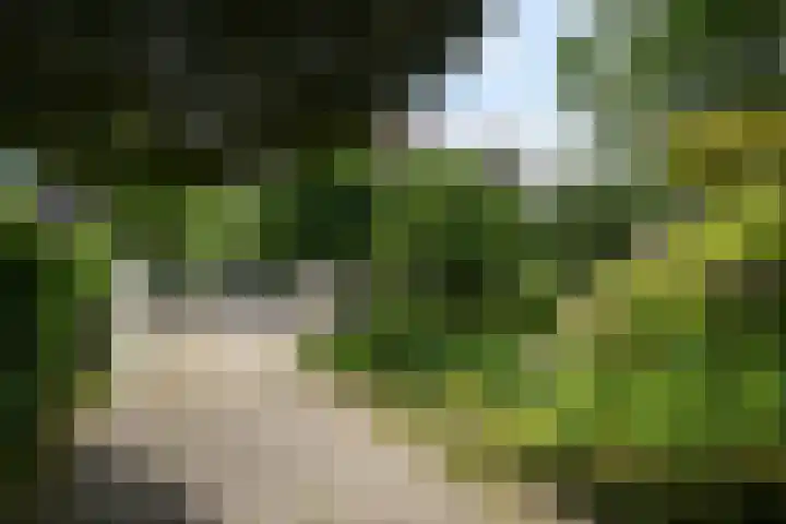 Violenweg 4 A Den Haag thumbnail 6