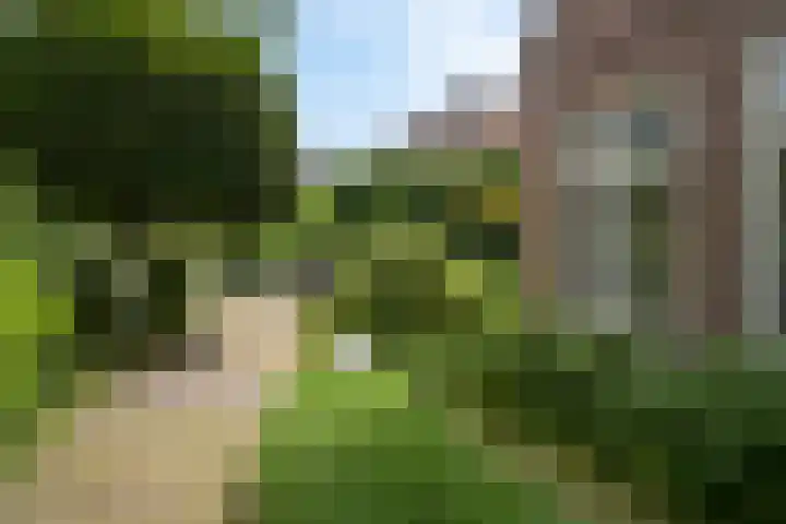 Violenweg 4 A Den Haag thumbnail 7