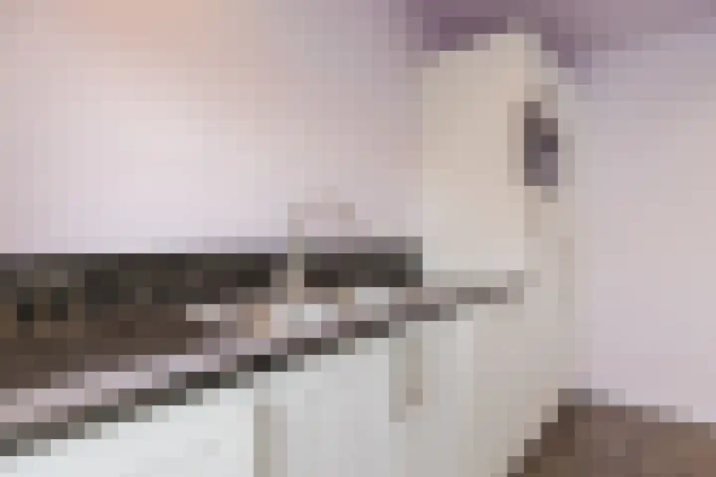 Violethof 6 Tilburg thumbnail 11