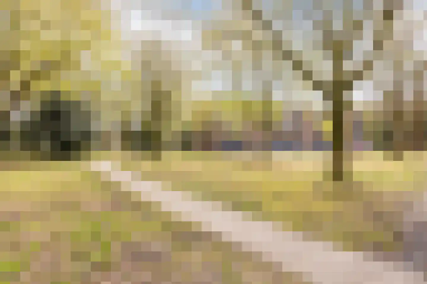 Violethof 6 Tilburg thumbnail 44