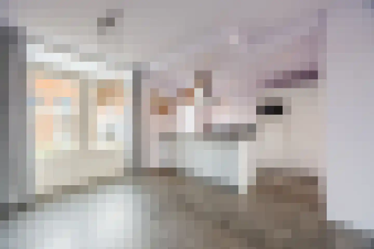Violethof 6 Tilburg thumbnail 7