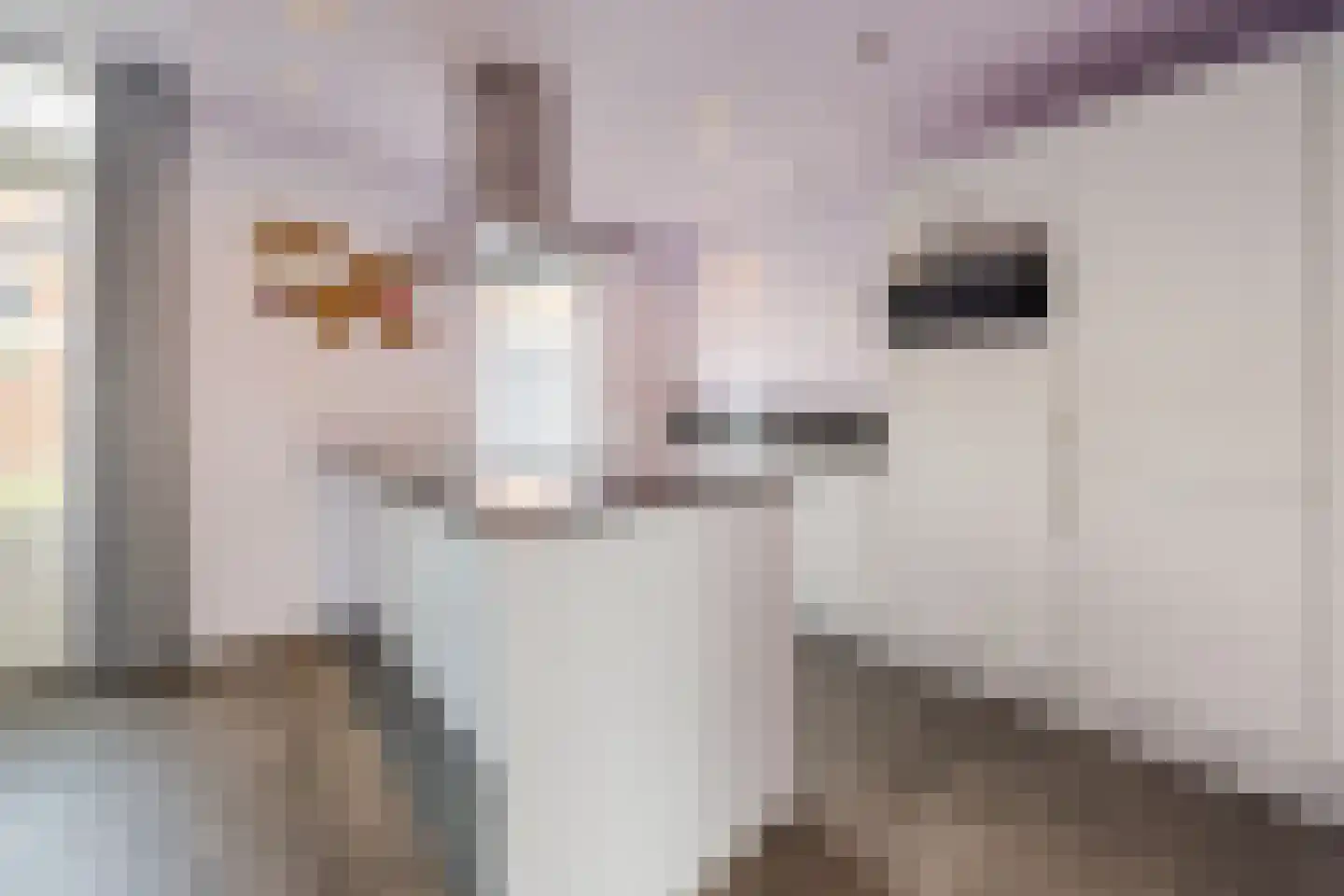 Violethof 6 Tilburg thumbnail 8