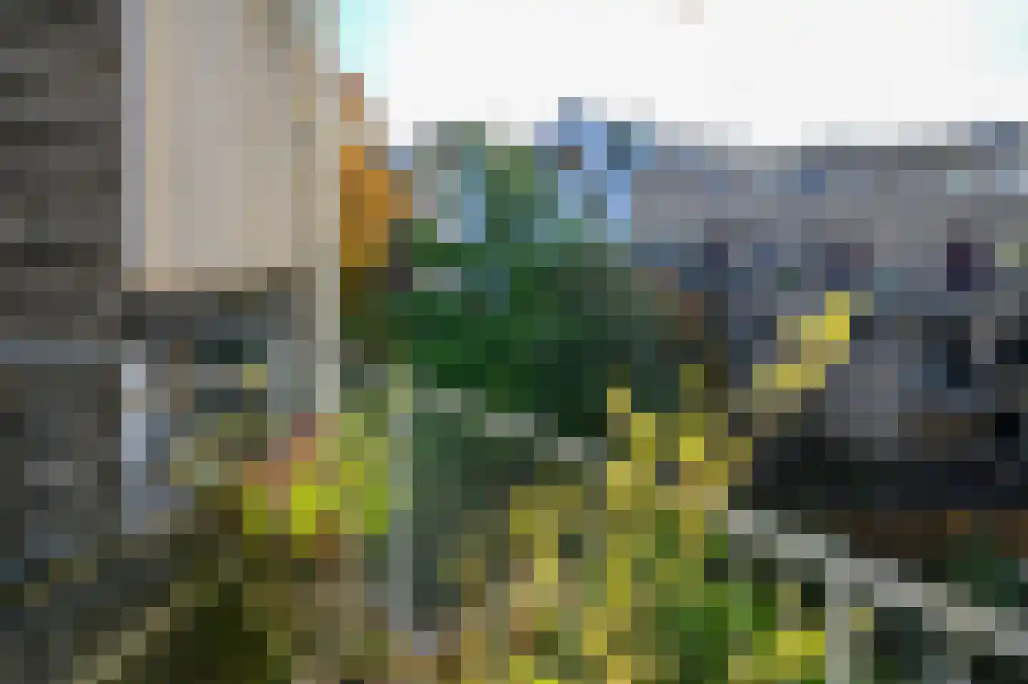 Violettenstraat 7 Amsterdam thumbnail 14