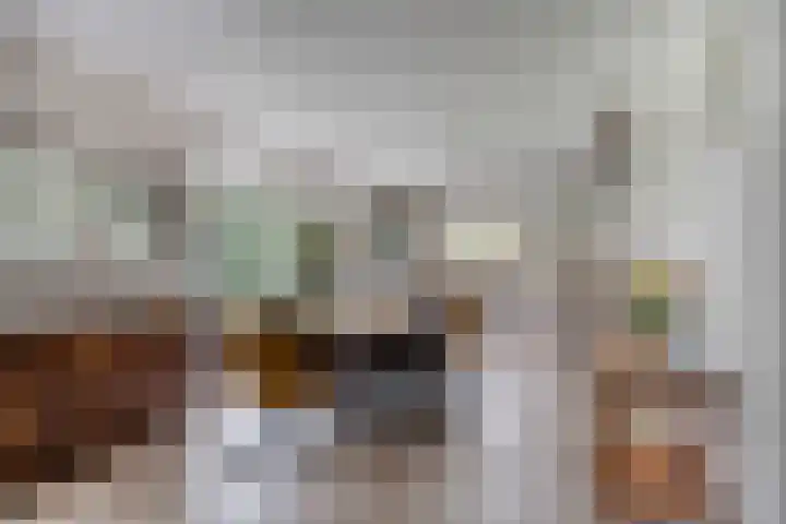 Violier 11 Haaksbergen thumbnail 10