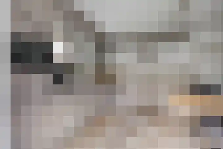 Violier 11 Haaksbergen thumbnail 11