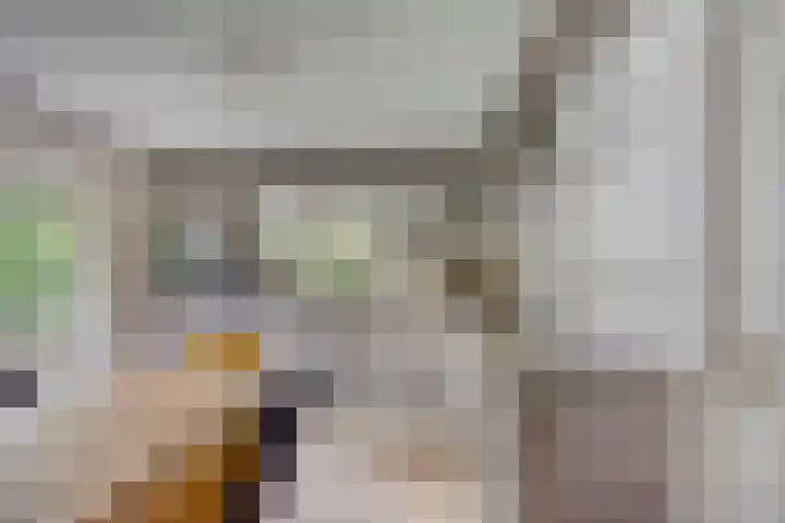 Violier 11 Haaksbergen thumbnail 12