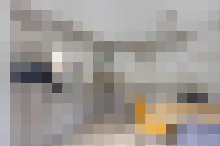 Violier 11 Haaksbergen thumbnail 13