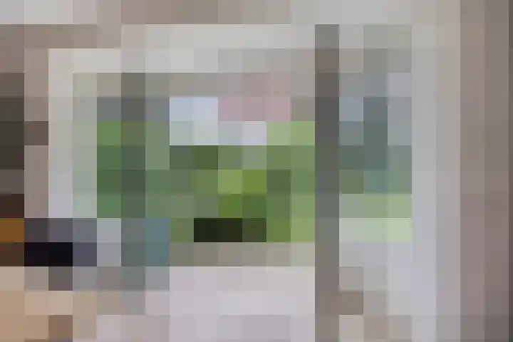 Violier 11 Haaksbergen thumbnail 14