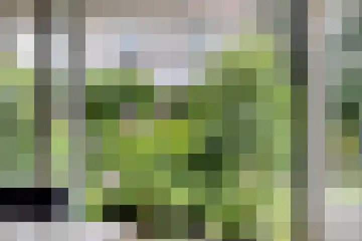 Violier 11 Haaksbergen thumbnail 15