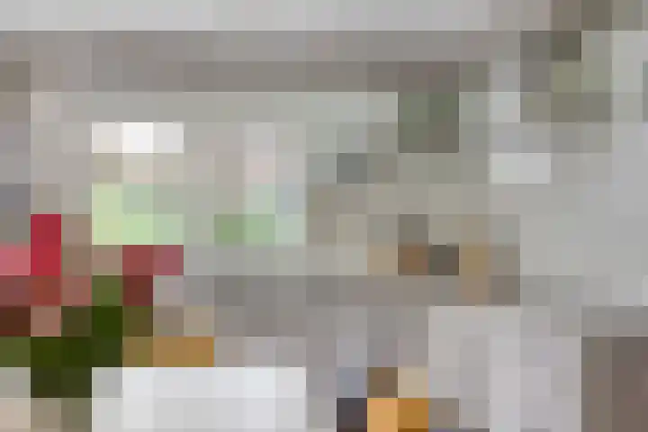 Violier 11 Haaksbergen thumbnail 16