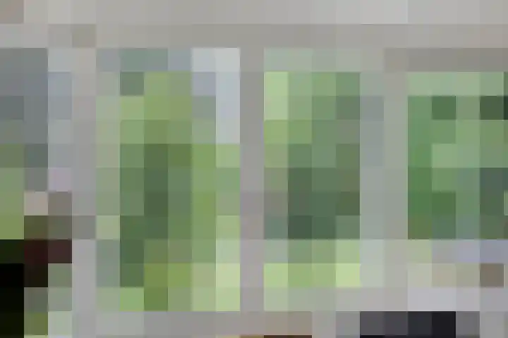 Violier 11 Haaksbergen thumbnail 17