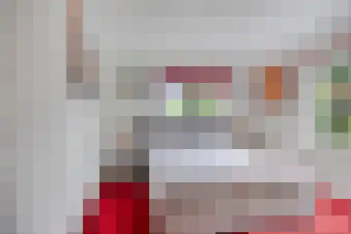 Violier 11 Haaksbergen thumbnail 19
