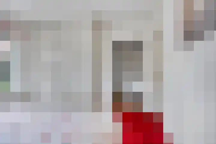 Violier 11 Haaksbergen thumbnail 20