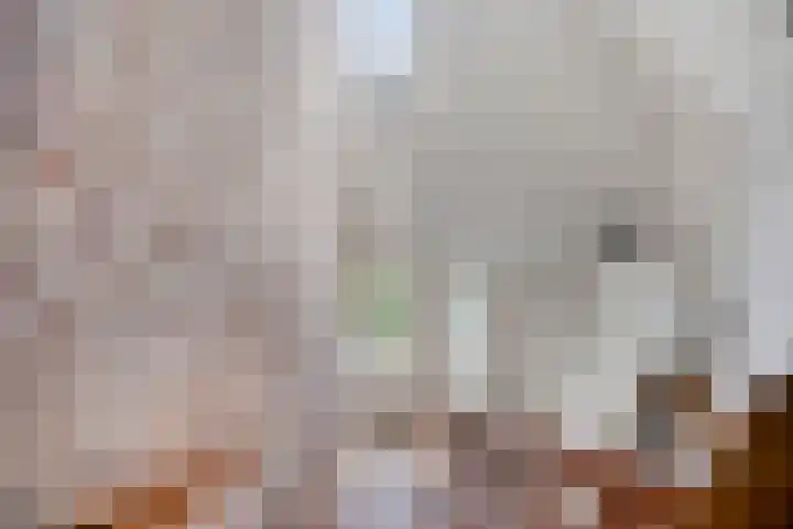 Violier 11 Haaksbergen thumbnail 23