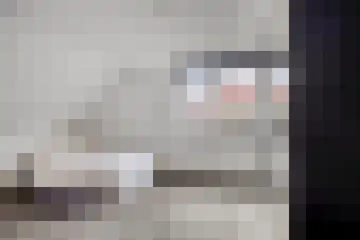 Violier 11 Haaksbergen thumbnail 25