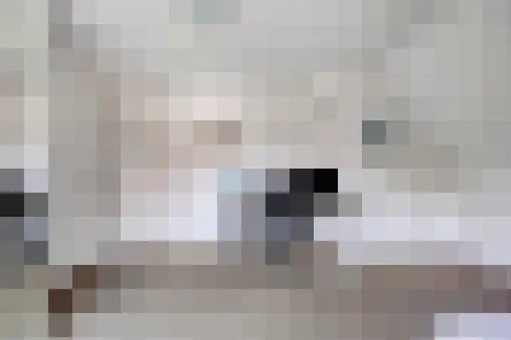 Violier 11 Haaksbergen thumbnail 26