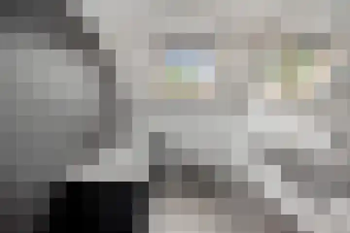 Violier 11 Haaksbergen thumbnail 27