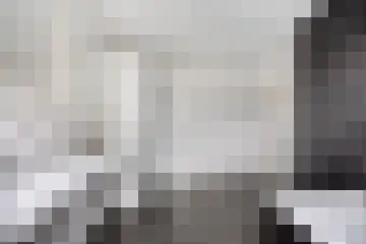 Violier 11 Haaksbergen thumbnail 28