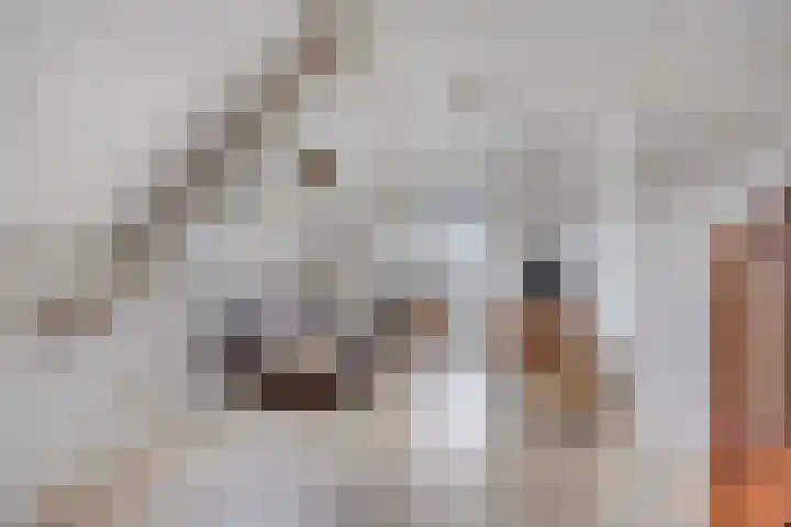 Violier 11 Haaksbergen thumbnail 29