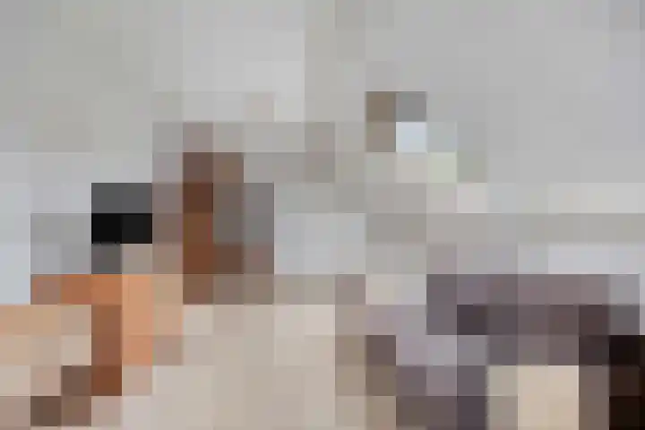 Violier 11 Haaksbergen thumbnail 30