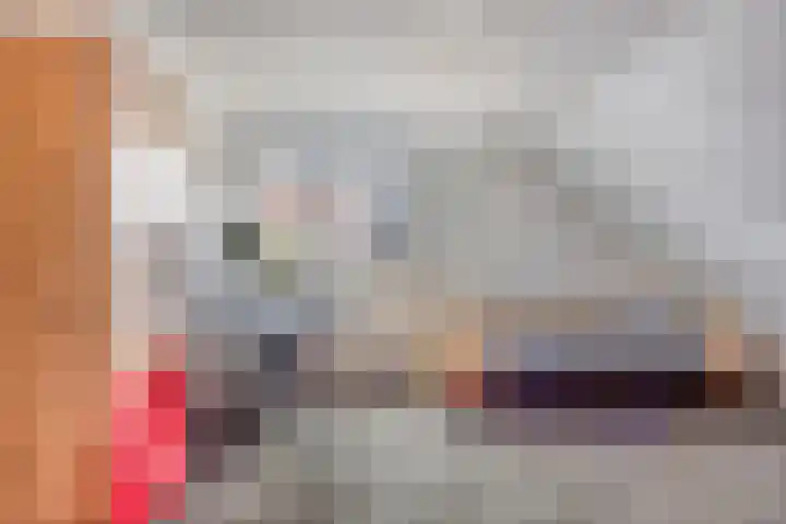 Violier 11 Haaksbergen thumbnail 31