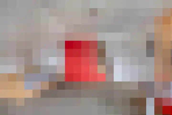 Violier 11 Haaksbergen thumbnail 32