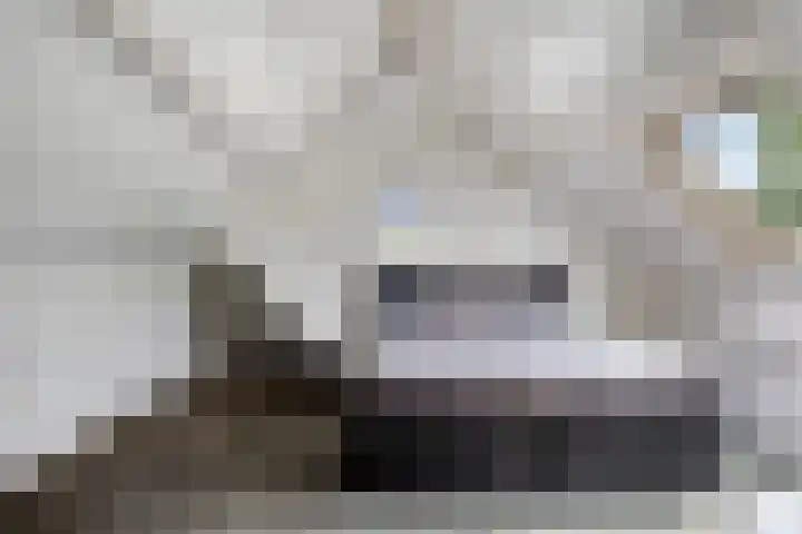 Violier 11 Haaksbergen thumbnail 35