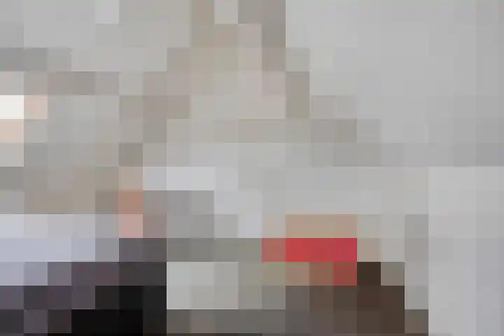 Violier 11 Haaksbergen thumbnail 36