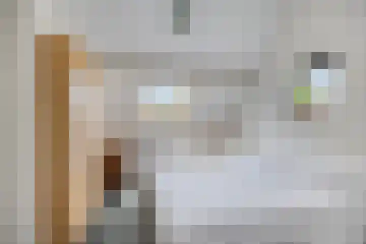 Violier 11 Haaksbergen thumbnail 37
