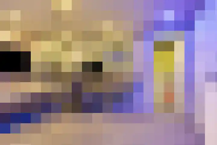 Violier 11 Haaksbergen thumbnail 39